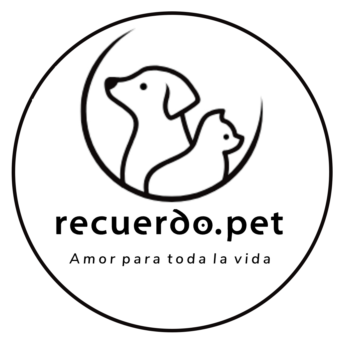 My Blog